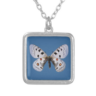 Isolated parnassius apollo silver plated necklace