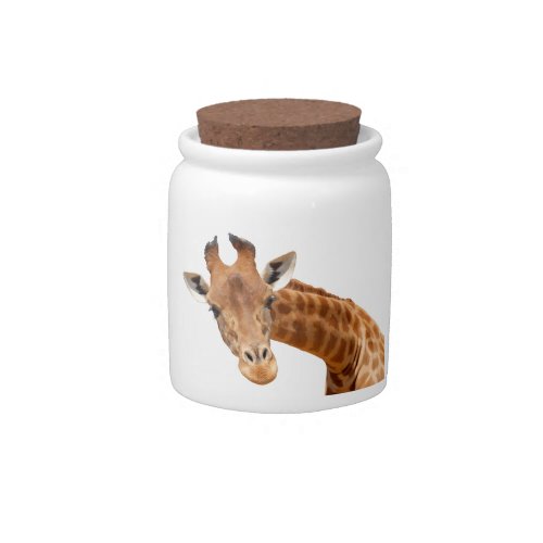 Isolated portrait of giraffe PNG Candy Jar