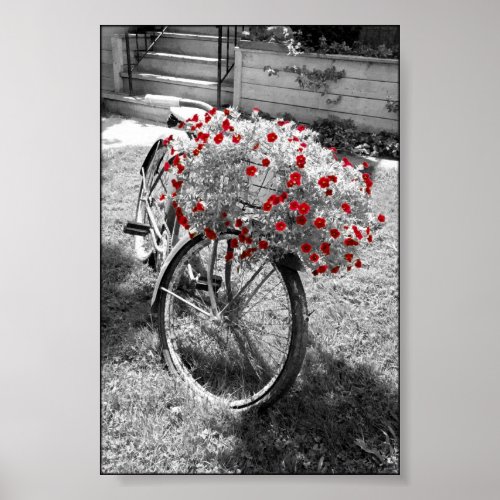 Isolated Red Color Flowers Black and White Bicycle Poster