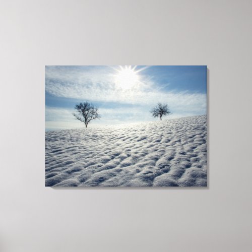 Isolated trees in winter landscape canvas print