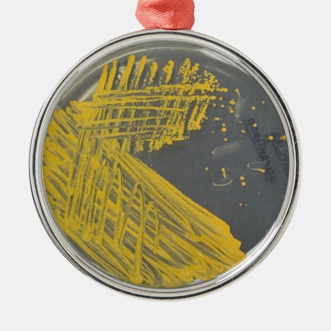 Isolation Streak of Bacteria Metal Ornament (Front)