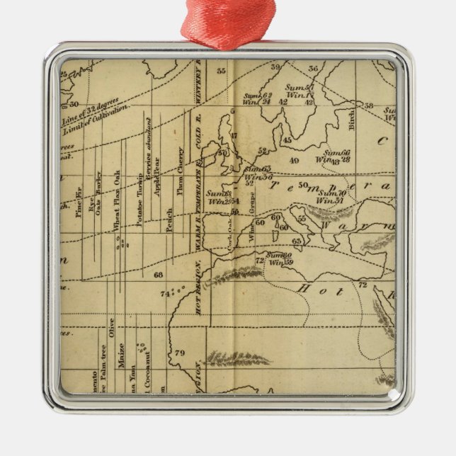 Isothermal chart metal ornament (Front)