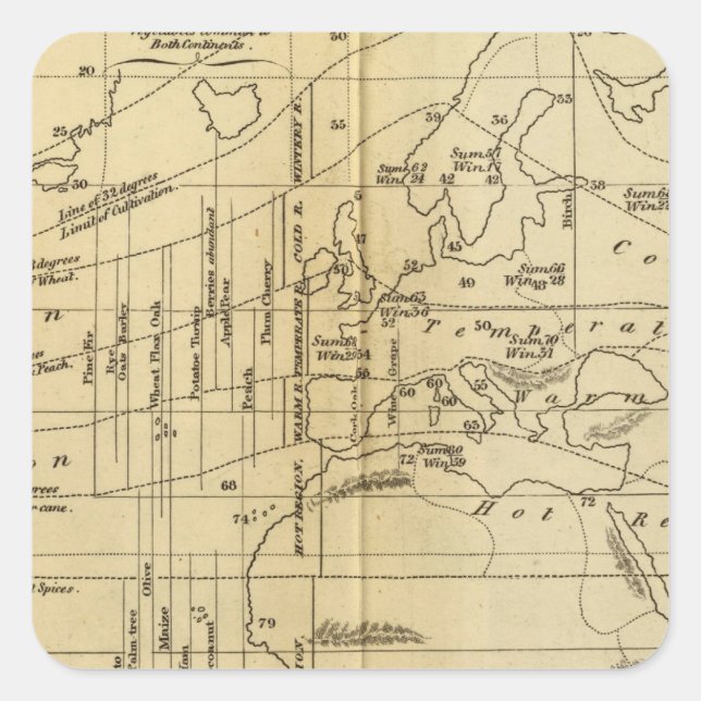 Isothermal chart square sticker (Front)