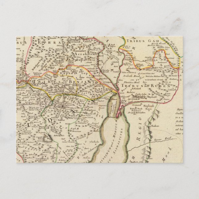 Israel and Palestine Postcard (Front)