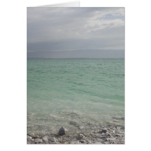 Israel, Dead Sea, seascape Cards (Front)