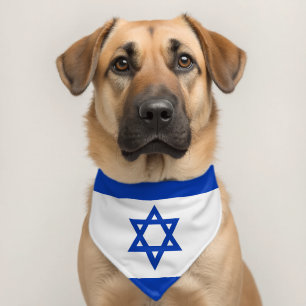 Israel flag pet bandana collar