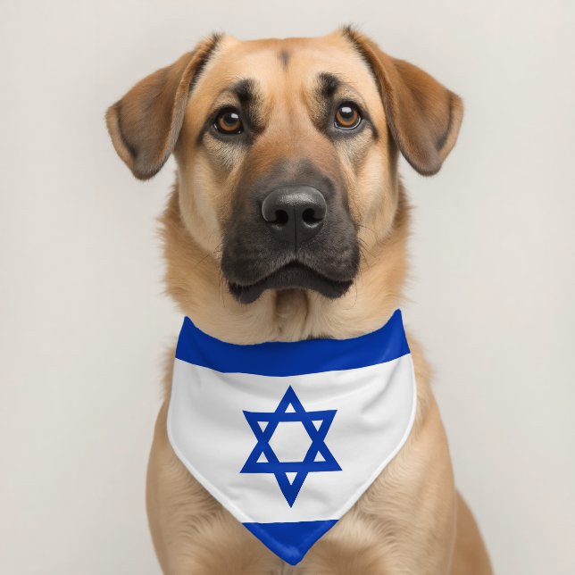 Israel flag pet bandana collar (Dog 2)