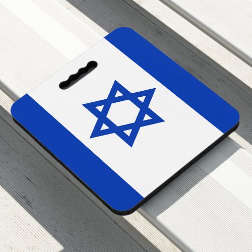 Israel flag seat cushion