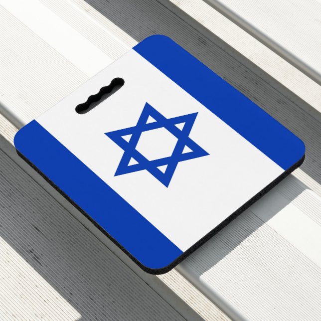 Israel flag seat cushion (In Situ)