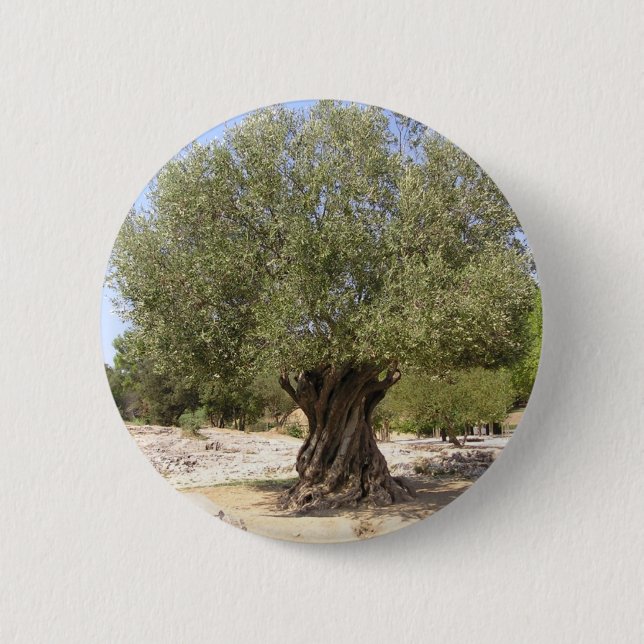 Israel Olive Tree Button (Front)