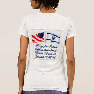 Israeli American flag collection T-Shirt