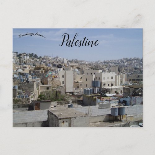 Israeli Settlement in Hebron Palestine Postcard
