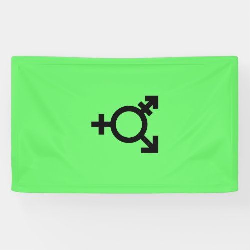 Israeli Transgender Pride Flag Banner