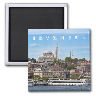 Istanbul. Cityscape. Magnet