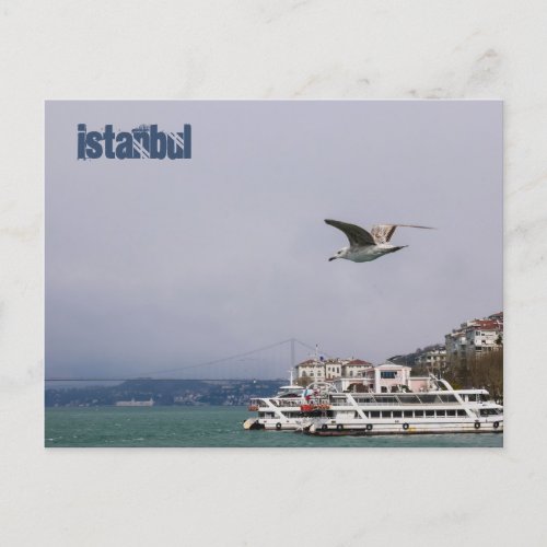 Istanbul Seagull Postcard