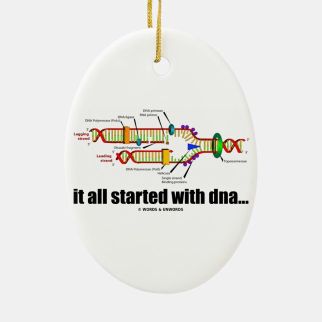 it all started with DNA.. (DNA Replication) Ceramic Ornament (Back)