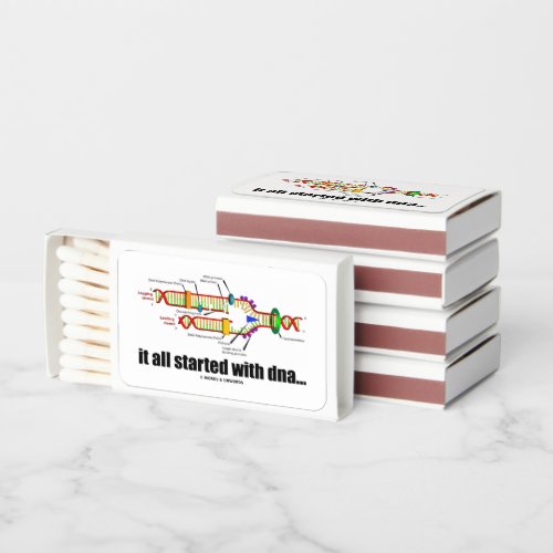 it all started with DNA DNA Replication Humor Matchboxes