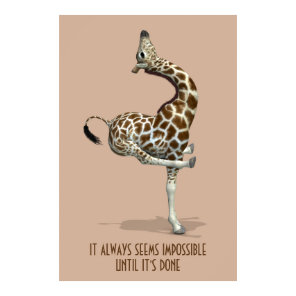 It Always Seems Impossible Until It's Done Poster