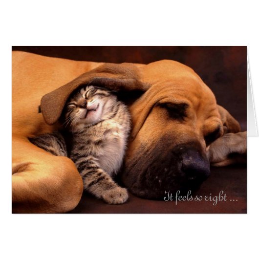 It feels so right being with you (Front Horizontal)