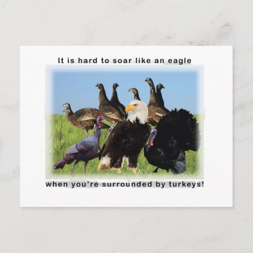 It is hard to soar like an eagle quotation postcard