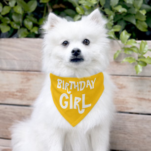 It Is My Birthday  Pet Bandana Collar