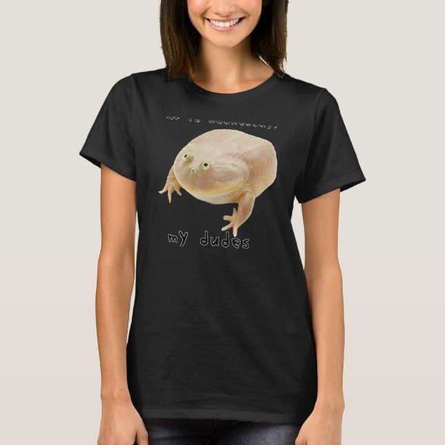 It is Wednesday My Dudes Classic Funny Frog Meme T-Shirt (Front)