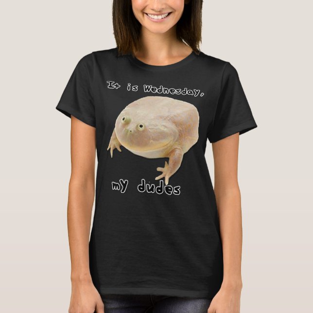 It is Wednesday My Dudes Funny Classic Frog Meme O T-Shirt (Front)