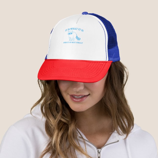It Is What It Is And It Is Not Great Drawing Trucker Hat (In Situ)