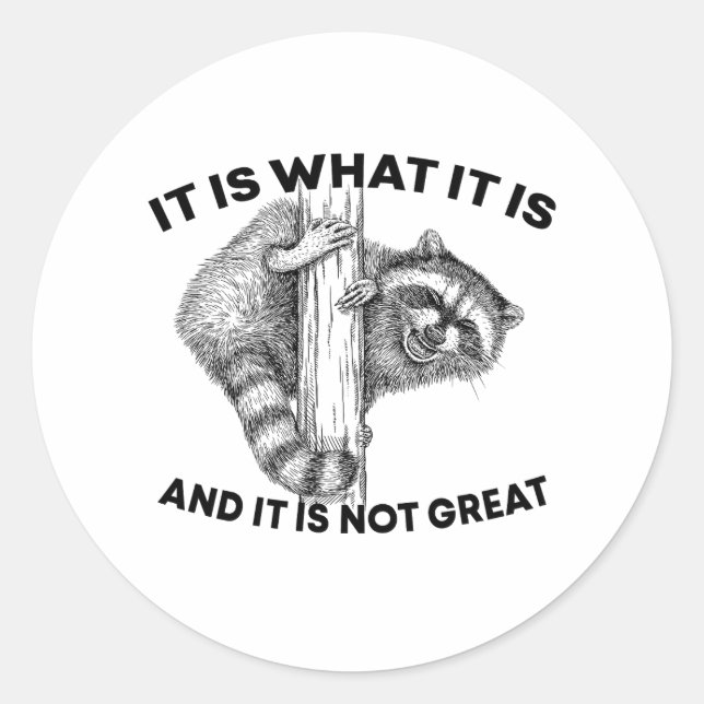 It Is What It Is And It Is Not Great Raccoon Classic Round Sticker (Front)