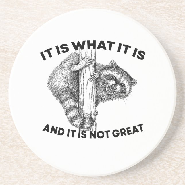It Is What It Is And It Is Not Great Raccoon Coaster (Front)