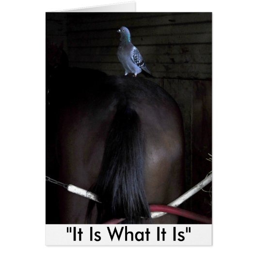 It Is What It Is Cards (Front)