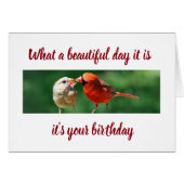 IT IS "YOUR BIRTHDAY" AND THE BIRDS SEND MESSAGE (Front Horizontal)