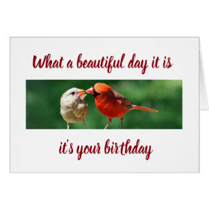 IT IS "YOUR BIRTHDAY" AND THE BIRDS SEND MESSAGE