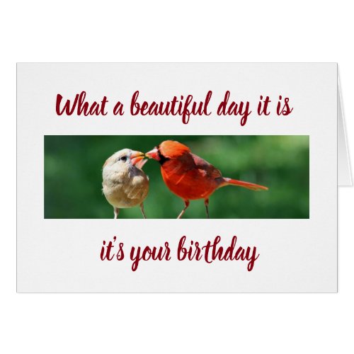 IT IS YOUR BIRTHDAY AND THE BIRDS SEND MESSAGE