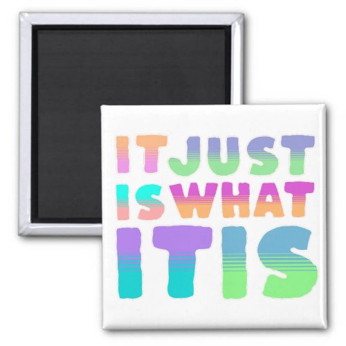 It Just Is What It Is  Funny Quote Magnet