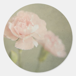 it looks like hope sricker classic round sticker