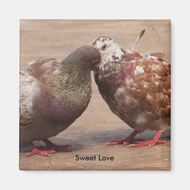 It must be love magnet (Front)