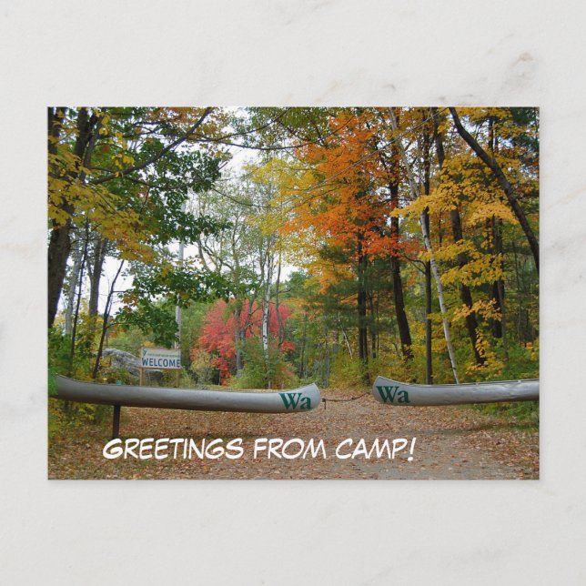It;s a camp postcard! postcard (Front)