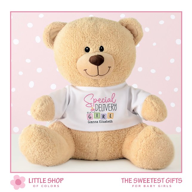 It’s a Girl Special Delivery Medium Size Teddy Bear (Creator Uploaded)