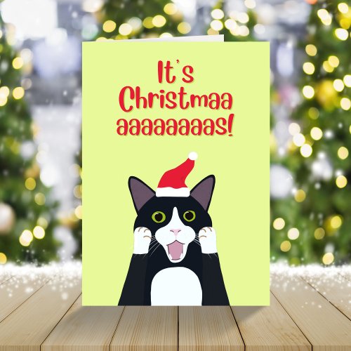 Its Christmas funny tuxedo cat cartoon  Holiday Card
