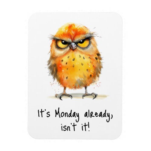 Its Monday Already Isnt It Grumpy Bird Funny Magnet