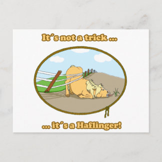 it´s not a trick ... postcard