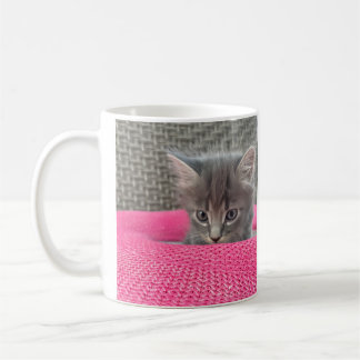 It’s not my fault. Office Humor. Cat Coffee Mug. Coffee Mug