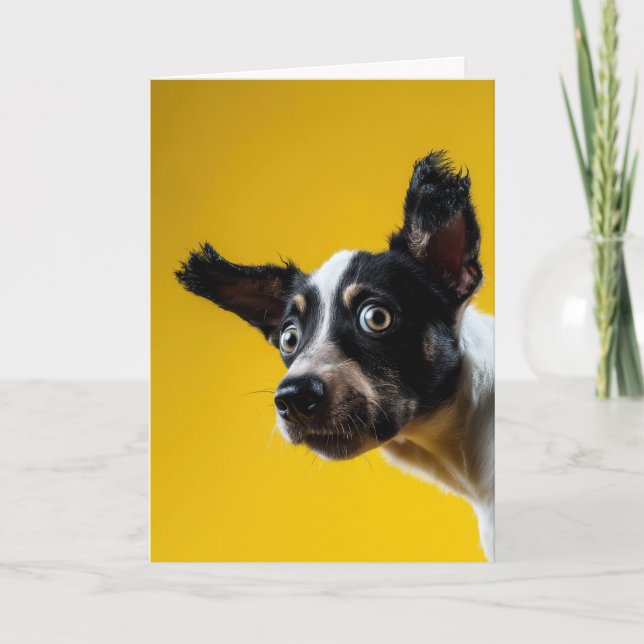 "It’s The Dog" Birthday Card (Front)