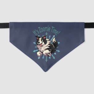 It’s Zoomie Time Border Collie Pet Bandana Collar
