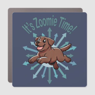 It’s Zoomie Time Chocolate Lab Car Magnet