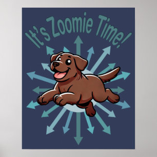 It’s Zoomie Time Chocolate Lab Poster