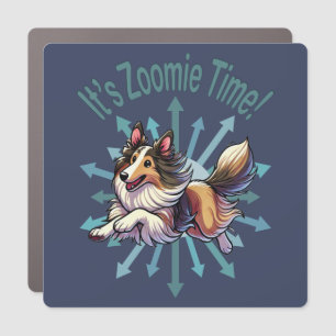 It’s Zoomie Time Collie Car Magnet