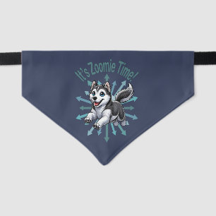 It’s Zoomie Time Husky Pet Bandana Collar