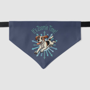 It’s Zoomie Time Medium Beagle Mutt Pet Bandana Collar